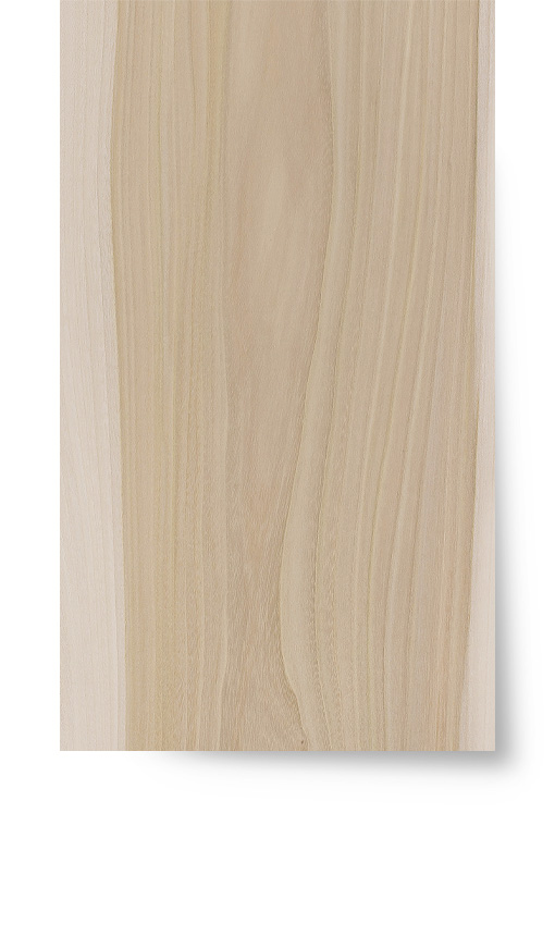 Ebonyandco - Continental Elm - Select