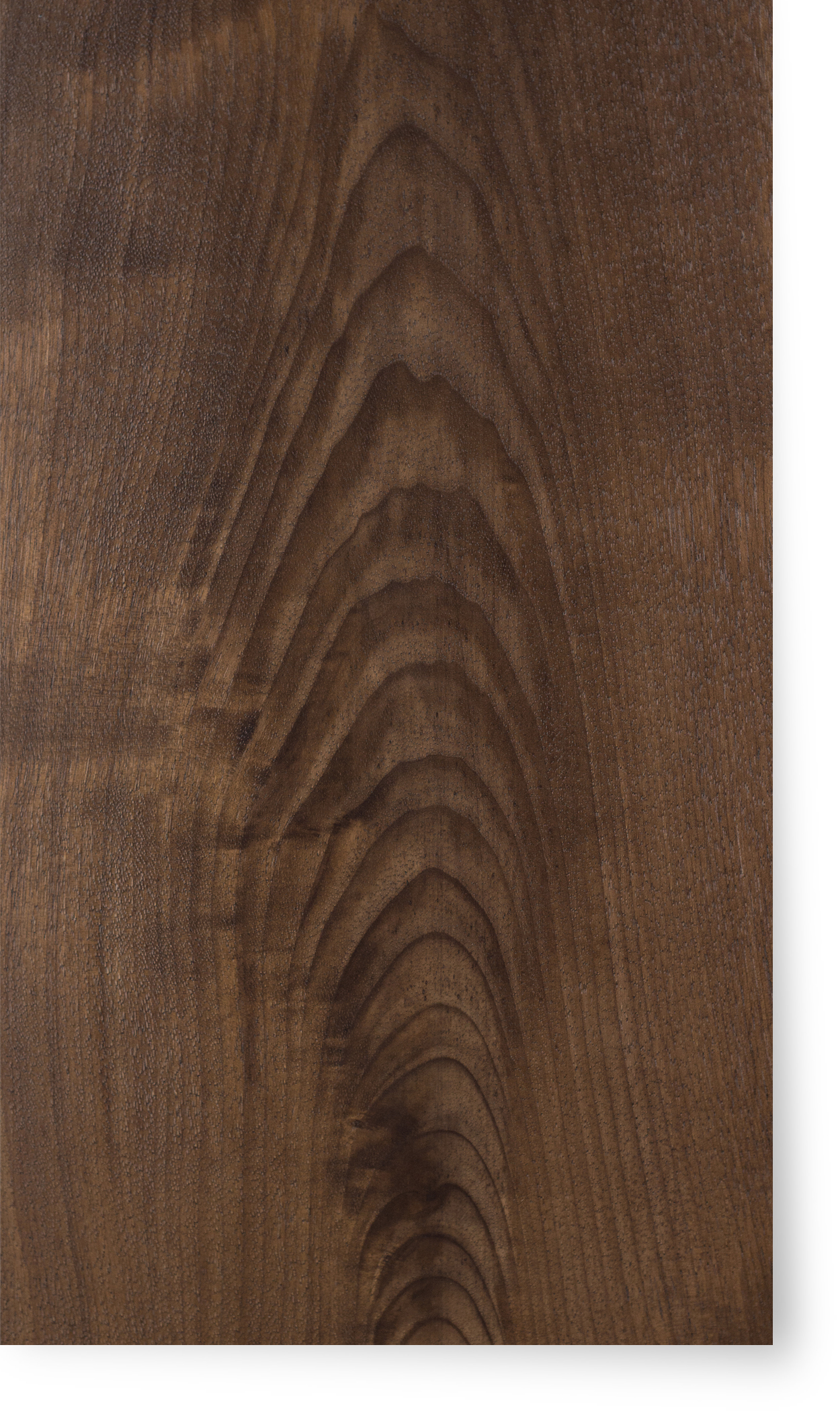 American Walnut - Cacao Brown Semi Glossy Poly