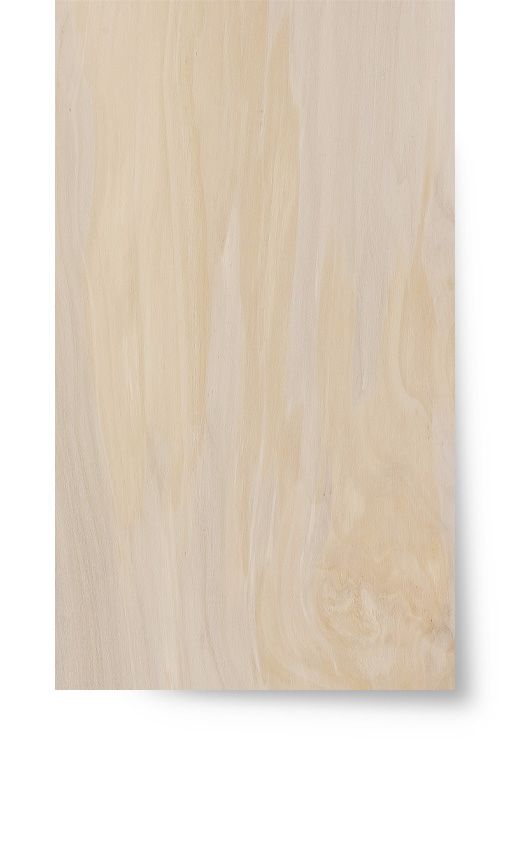 Ebonyandco - Continental Poplar - Select